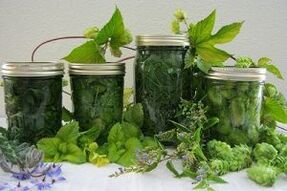 herbal tincture for the treatment of varicose veins